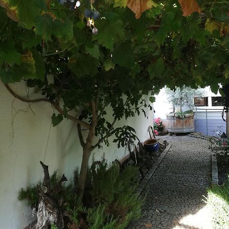 Haus Bienen Bed & Breakfast Ihringen Bagian luar foto