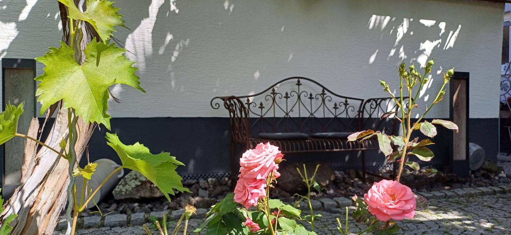 Haus Bienen Bed & Breakfast Ihringen Bagian luar foto