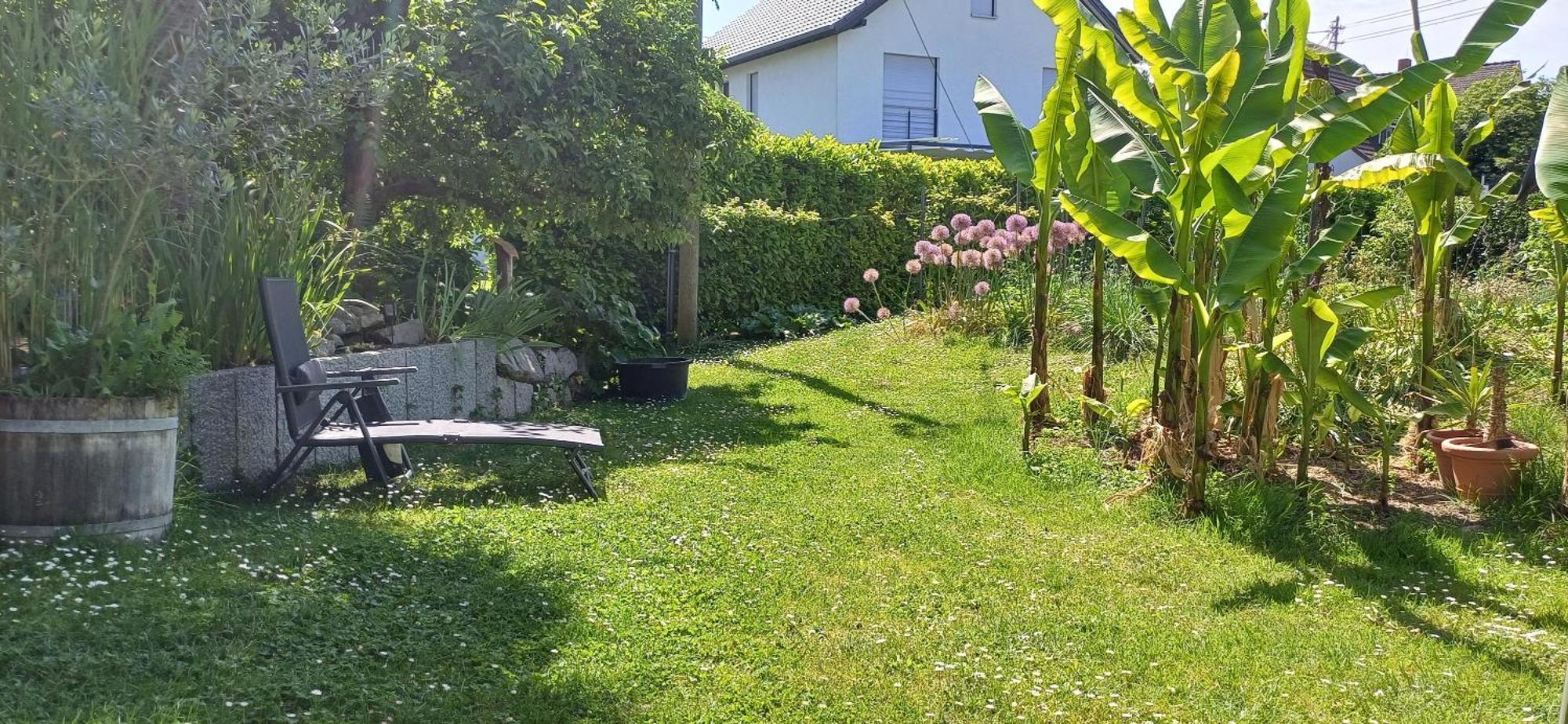 Haus Bienen Bed & Breakfast Ihringen Bagian luar foto