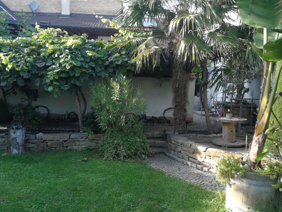 Haus Bienen Bed & Breakfast Ihringen Bagian luar foto