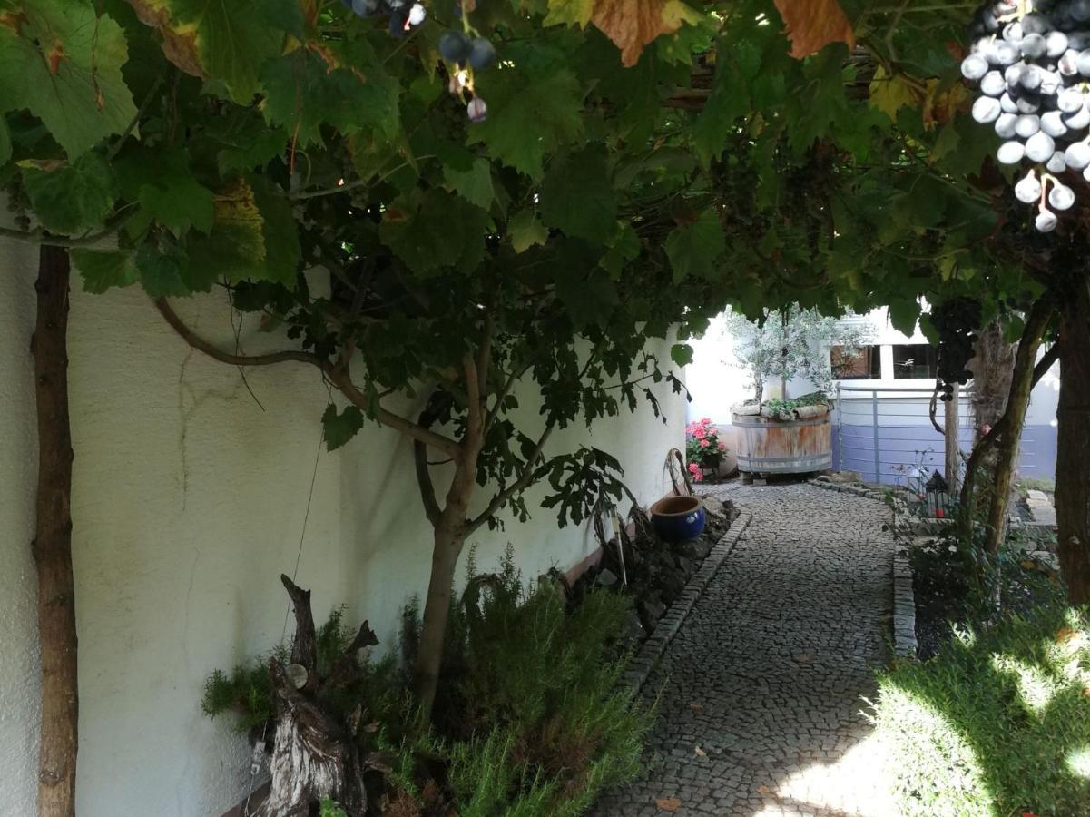 Haus Bienen Bed & Breakfast Ihringen Bagian luar foto